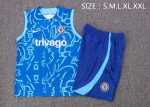 Chelsea 22/23 Colorful Blue Vest (Full Body Spray) - 图片 7