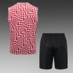 Chelsea 22/23 Red Vest (Full Body Spray) - 图片 9