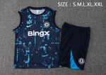 Chelsea 24/25 Blue Ink Spray Vest - 图片 2