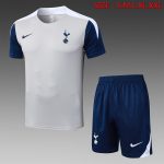 Tottenham Hotspur 24/25 Light Gray Short Sleeve Training Shirt