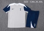 Tottenham Hotspur 24/25 Light Gray Short Sleeve Training Shirt - 图片 2