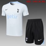 Tottenham Hotspur 24-25 Light Gray Short Sleeve Training T-Shirt