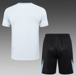 Tottenham Hotspur 24-25 Light Gray Short Sleeve Training T-Shirt - 图片 6