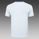 Tottenham Hotspur 24-25 Light Gray Short Sleeve Training T-Shirt - 图片 7