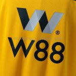 Wolves 2018/2019 Home Retro Jersey - 图片 9
