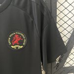 Aston Villa 125th Anniversary Black Shirt - 图片 9