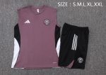 Manchester United 25/26 Vest Grey Purple - 图片 2
