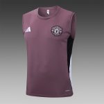 Manchester United 25/26 Vest Grey Purple - 图片 8