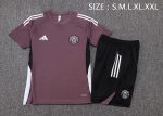 Manchester United Grey Purple Short Sleeve Training Suit - 图片 2