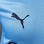 Manchester City 25/26 Home Long-Sleeve Player Version Jersey - 图片 6