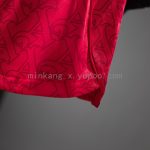 Arsenal 25/26 Home Player Version - 图片 2