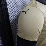 Manchester City 24/25 Player Special Edition - 图片 3