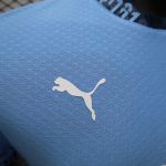 2024-2025 Manchester City Home Player Version - 图片 7