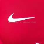 Arsenal 2012/13 Home Long Sleeve Player Version Jersey - 图片 4