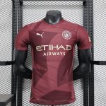 24/25 Player Manchester City Third Away Jersey - 图片 9