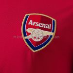 Arsenal 2010/11 Home Retro Jersey - 图片 5
