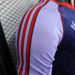 Arsenal 24/25 Player Special Edition - 图片 2