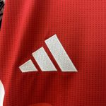 Arsenal 24/25 Pre Match Jersey - 图片 7