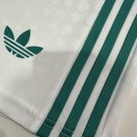 Liverpool FC 25-26 Away Player Version Shorts - 图片 5