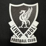 Liverpool FC 25/26 Goalkeeper Jersey - 图片 7