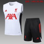 Liverpool FC Training T-Shirt