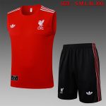 Liverpool FC Training T-Shirt