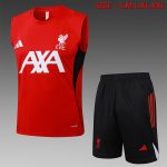 Liverpool FC Training T-Shirt