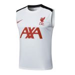 Liverpool FC Training T-Shirt - 图片 8