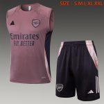 Arsenal 24/25 Vest Grey Purple