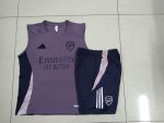 Arsenal 24/25 Vest Grey Purple - 图片 9