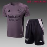 Arsenal 24-25 Short Sleeve Grey Purple Training Suit