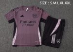 Arsenal 24-25 Short Sleeve Grey Purple Training Suit - 图片 2