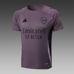 Arsenal 24-25 Short Sleeve Grey Purple Training Suit - 图片 8