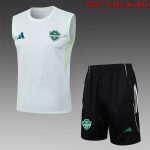 Al Ahly Light Green Vest