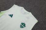 Al Ahly Light Green Vest - 图片 6