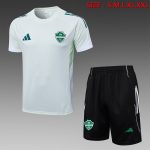 Al Ahly Light Green Short Sleeve Training T-Shirt