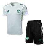 Al Ahly Light Green Short Sleeve Training T-Shirt - 图片 8