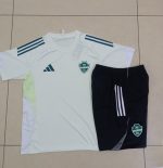Al Ahly Light Green Short Sleeve Training T-Shirt - 图片 9