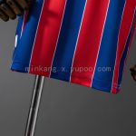Crystal Palace 2025/2026 Home Kids Kit Jersey - 图片 9