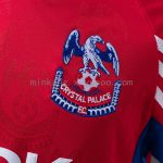 Crystal Palace 1998/1999 Home Retro Jersey - 图片 7