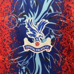 2024-2025 Crystal Palace Home Jersey - 图片 7
