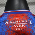 Crystal Palace 2024/25 Home Player Version - 图片 2