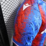 Crystal Palace 2024/25 Home Player Version - 图片 5