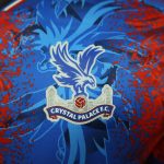 Crystal Palace 2024/25 Home Player Version - 图片 8