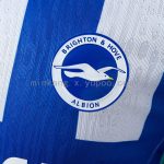 Brighton 25/26 Player Version Home Jersey - 图片 5