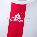 Southampton 2015/16 Home Retro Shirt - 图片 4