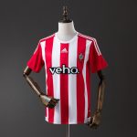 Southampton 2015/16 Home Retro Shirt - 图片 9