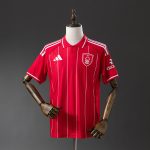 Nottingham Forest 2025/2026 Polo Shirt - 图片 8